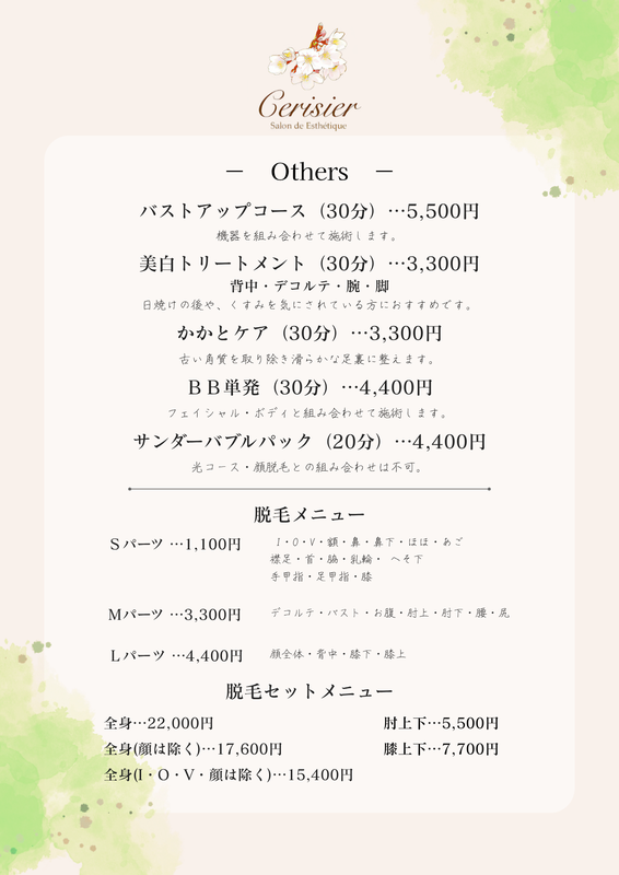 エステメニュー